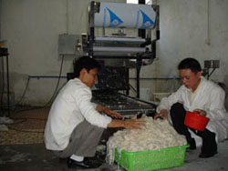 已生产好的河粉.jpg 已生产好的河粉.jpg